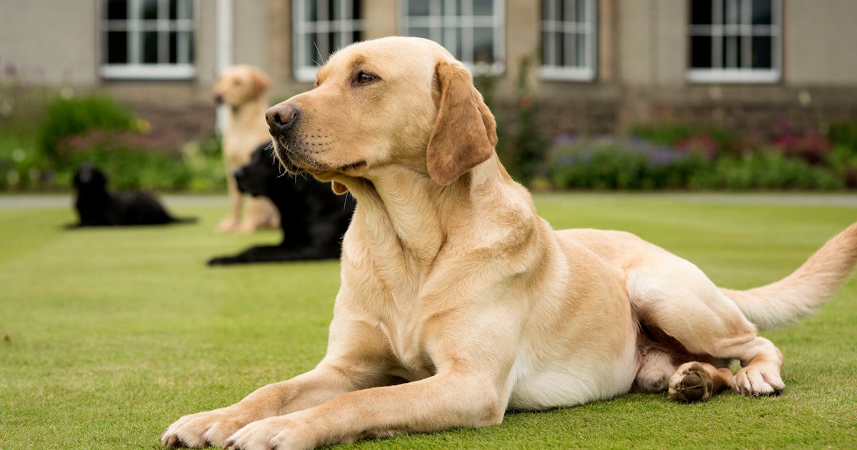 Cassidy Klein High School Cassidy Klein High School