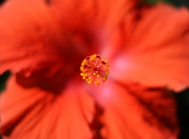 Acer acer power sle driver download for windows 10 Acer acer power sle driver download for windows 10