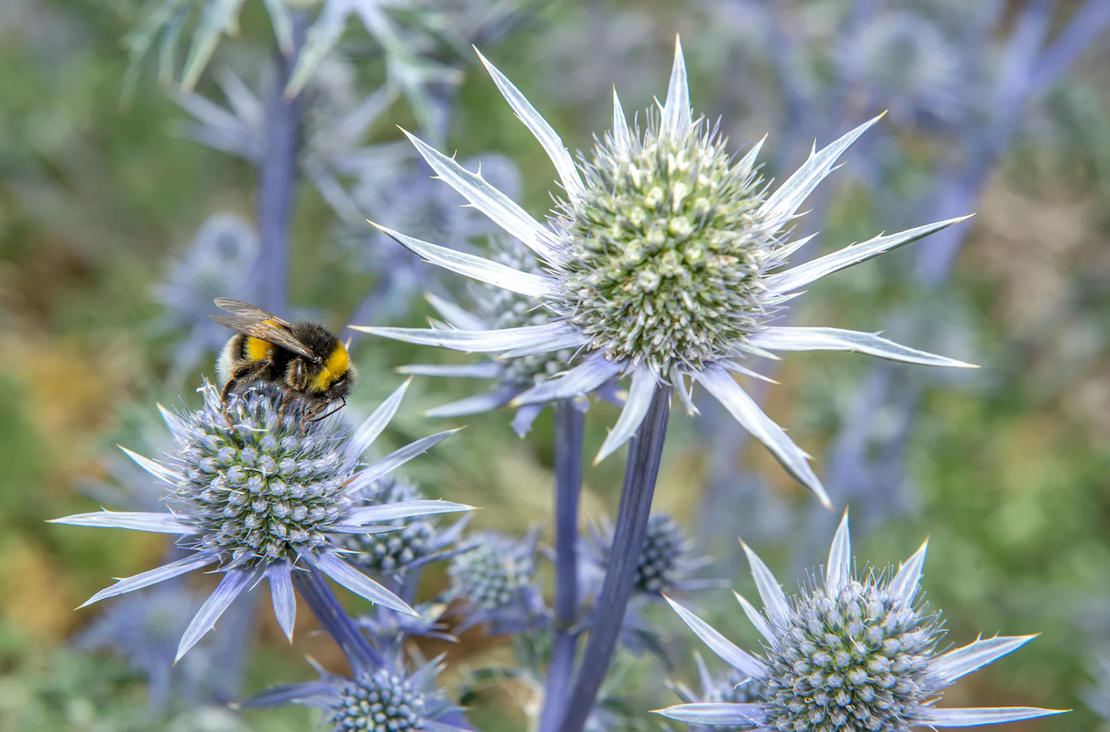 View of You Can Reduce Allergy Symptoms By Eliminating These Foods From Your ...