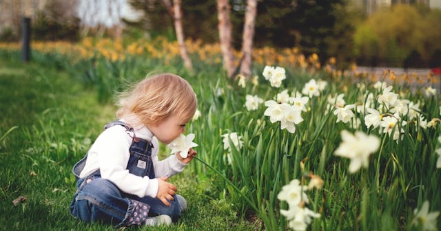 16 to 18 month old toddler development and milestones