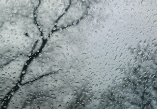 Rain drops on a glass that with a blurred view of a tree behind the glass