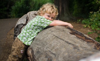 Little blonde boy hugging a big cut-off tree in the forest