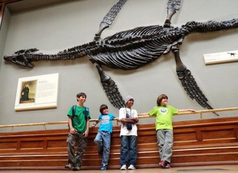 London Natural History Museum, things to do in London with kids