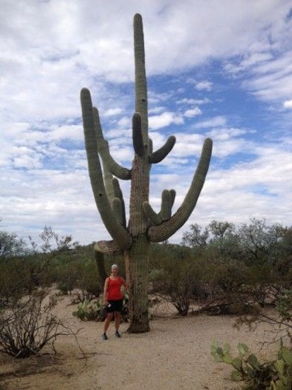 Reddington Pass, Cactus, Things to Do in Tucson With Kids