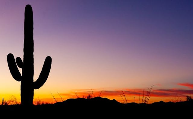 Tucson, Arizona, things to do in Tucson With Kids