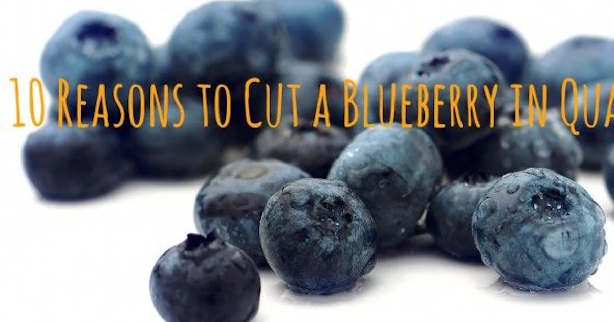 10 Reasons to Cut a Blueberry in Quarters (curated by a completely sane ...