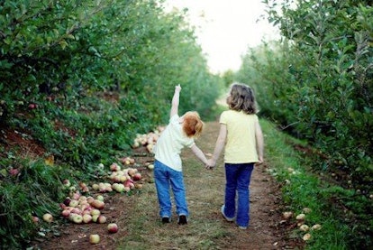 Pick fruits at Carter Mountain Orchards in Charlottesville with kids 