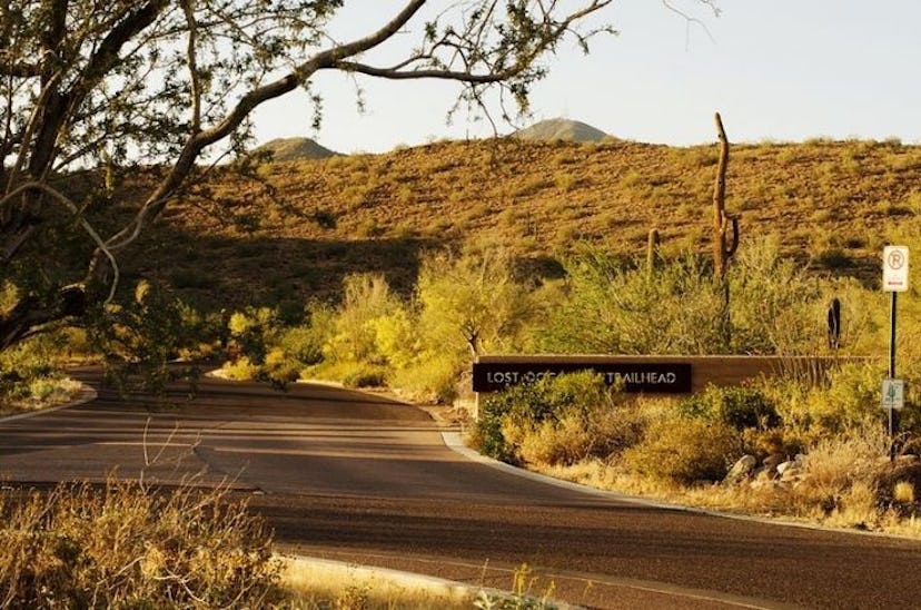A road in the middle of Scottsdale surrounded by tree and hills in the background