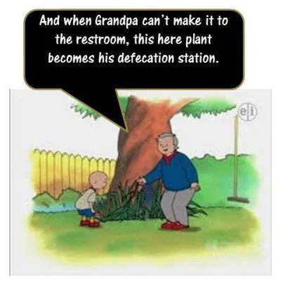 7 Things to Love About Caillou