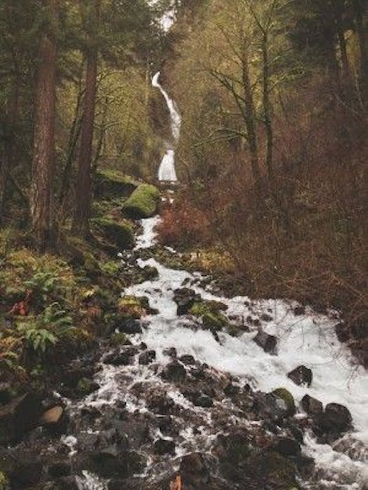 Columbia River Gorge, things to do in Portland with kids