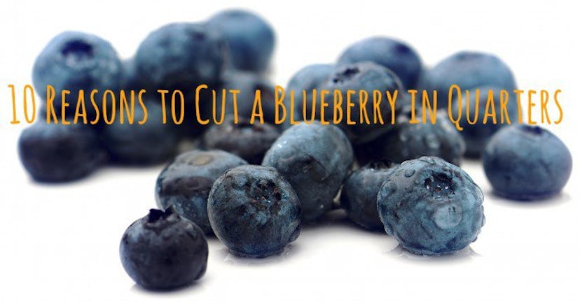 10 Reasons to Cut a Blueberry in Quarters