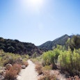 Beautiful and sunny Ojai path that is good to visit with kids