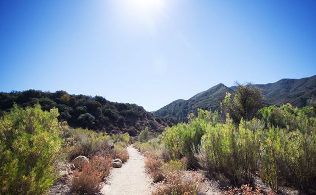 Beautiful and sunny Ojai path that is good to visit with kids during day time