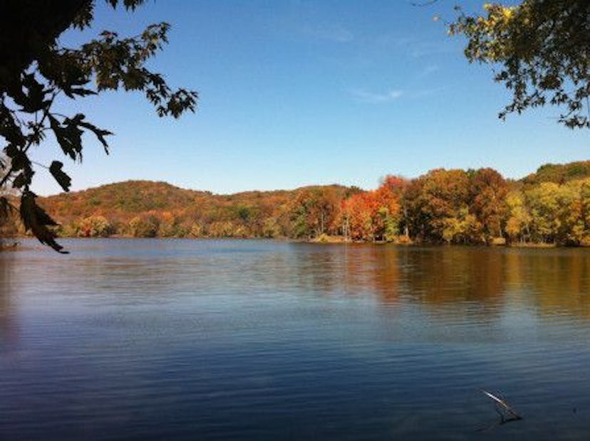 things to do in Nashville with kids, Radnor Lake