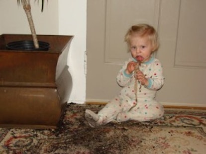 A blonde toddler eating dirt from a plant while wearing white pajamas inside her home