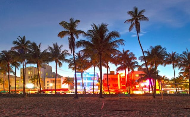 things to do in miami with kids