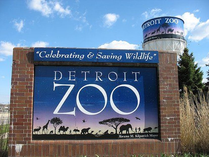 Detroit Zoo, things to do in detroit with kids