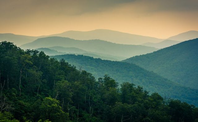 things to do in charlottesville with kids