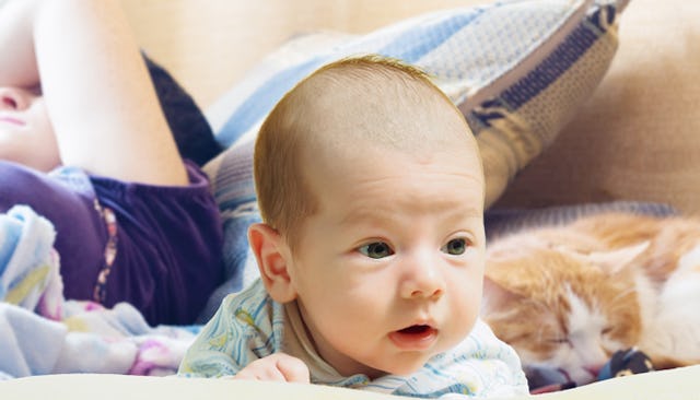 A close-up of a baby and its mother and a cat laying down in the background