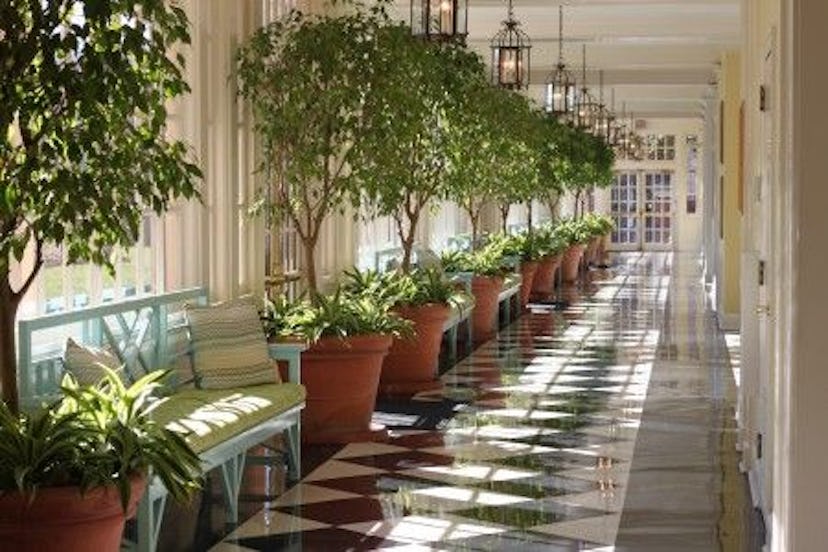 A long hallway bathed in sunlight at The Carolina Inn in Chapel Hill