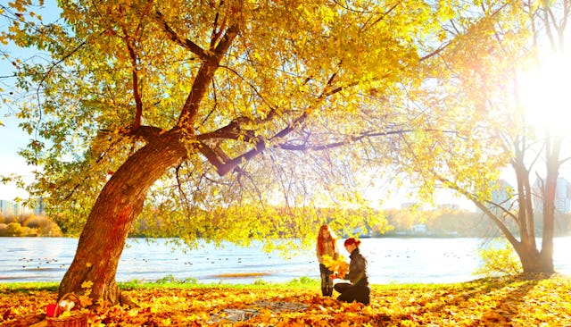 A mother and a daughter playing near the lake under a tree with yellow leaves. 