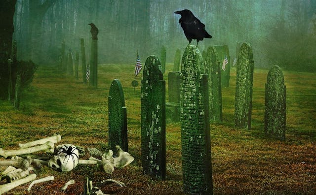 Raven on the empty, spooky cemetery