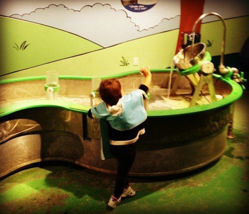 northeastern aquarium, boston aquarium, things to do in boston, things to do in boston with kids