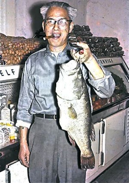 Vintage photo of a middle-aged man posing with a caught bass and a cigar in his mouth