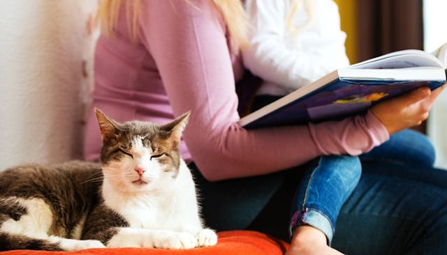 A mother reading a book to her child sitting on her lap, with a cat lying in front of them, resting ...