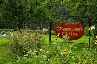 Entrance to BoggyCreek farm with a tomato billboard and lots of flowers.