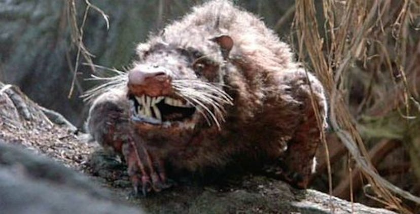 A rodent of unusual size R.O.U.S. from the movie Princess Bride (1987)