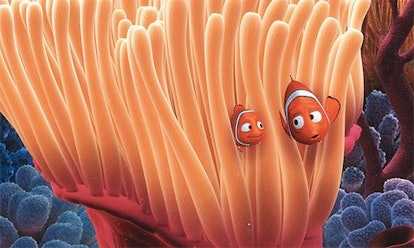 Main characters of "Finding Nemo" movie, Marlin and Nemo