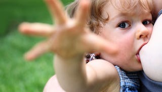 A toddler breastfeeding 