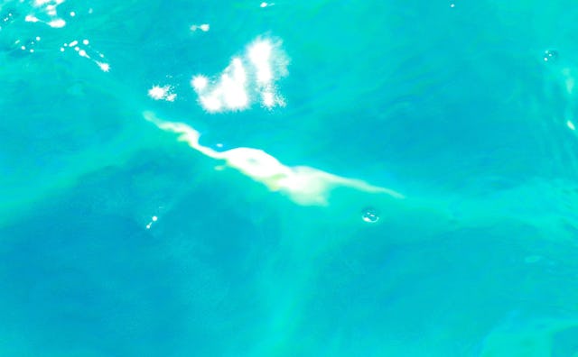 A closeup of pool water