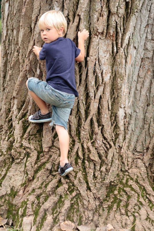 A blonde boy in a navy shirt and blue denim shorts climbing up a tree.