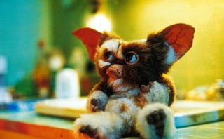 Gizmo from 'The Gremlins,' a perfect movie for geek parents and kids to watch together