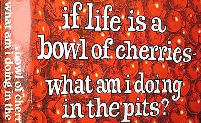 A red cover of the “If Life is a Bowl of Cherries—What Am I Doing in the Pits?” book written by Erma...