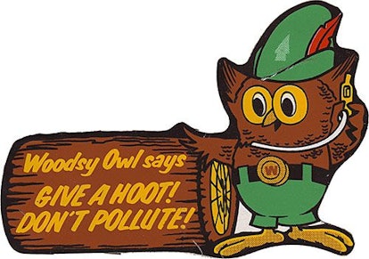 Woodsy owl standing next to a stump talking about pollution 