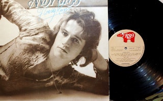 An album cover and a vinyl record of Andy Gibbs