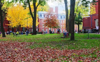 A picture of a busy park during autumn in front of a college with fallen leaves.