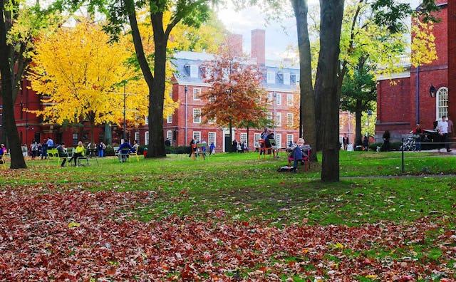 A picture of a busy park during autumn in front of a college with fallen leaves.