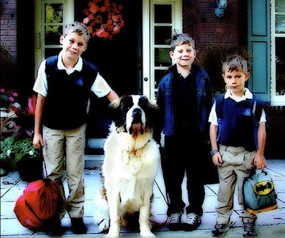 Three boys wearing school uniforms standing next to their St. Bernard while smiling at the camera.
