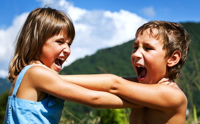 Siblings fighting in nature