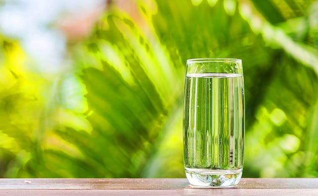 A glass of water on a wooden table, with palm trees in the background
