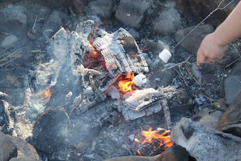 A camping fire and people roasting marshmallows