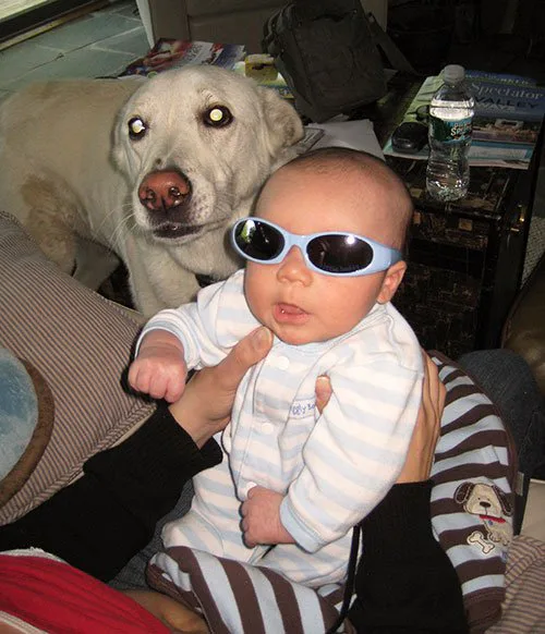 Ich verabschiede mich wie ein Erwachsener von meinem geliebten Hund
