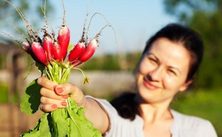 Woman holding 8 radishes at the stem and leaves. The radishes are the focal point, woman is in the b...