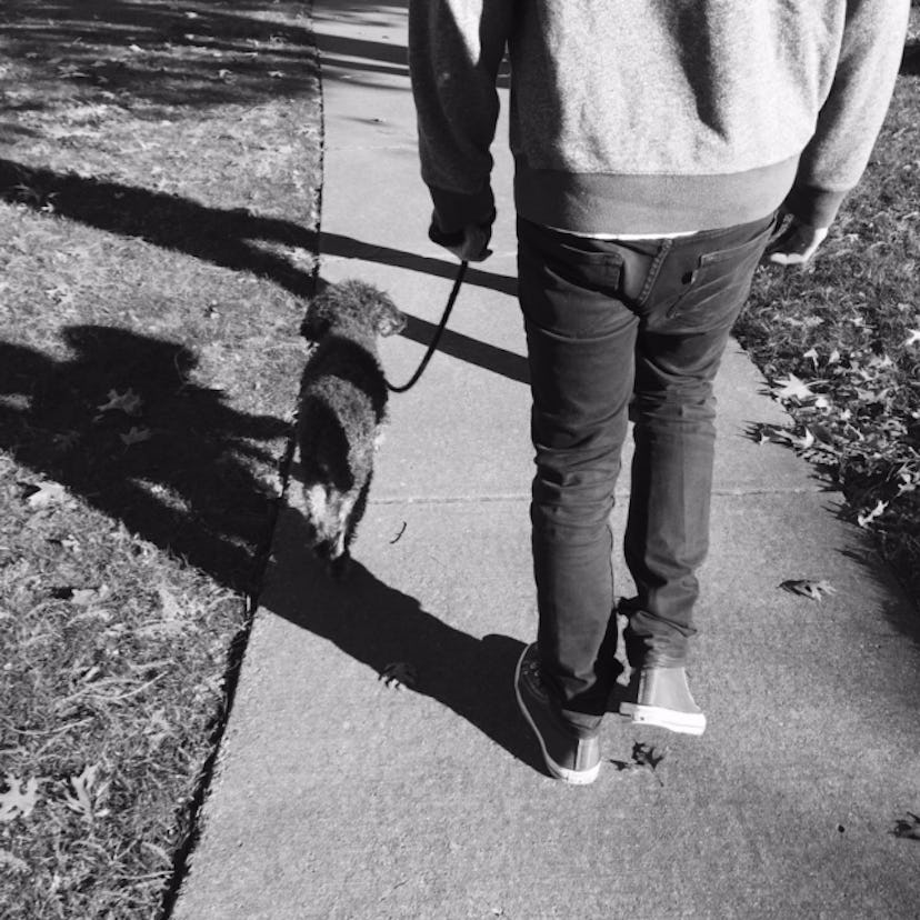 walking_dog