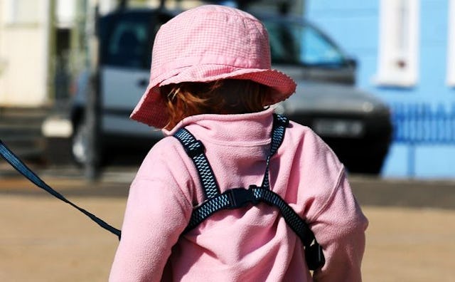 A toddler in a pink hoodie and a matching hat wearing a monkey backpack leash