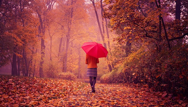woman-with-umbrella-walking-among-fallen-leaves